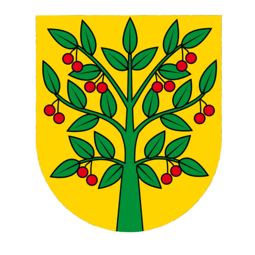Amazonka Wiśniew